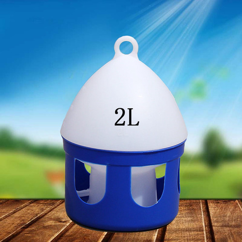 Dispensador De Agua Para Palomas Con Mango Alimentador