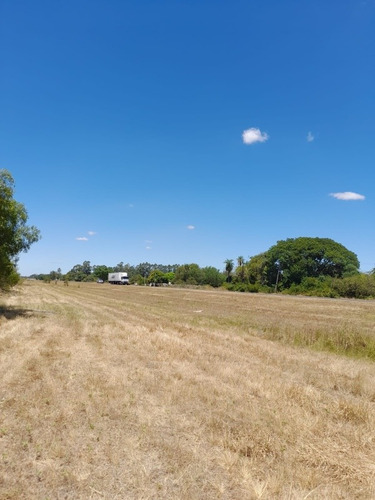 Campo Ganadero Agrícola -sobre Ruta Nacional 12 - Corrientes