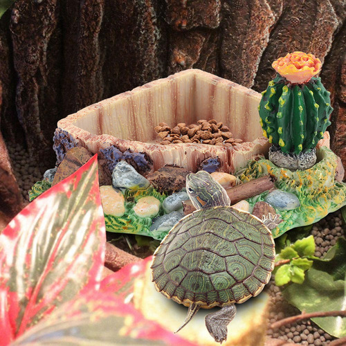 Comedero For Mascots, Reptiles, Tortugas, Lagartos, Plato