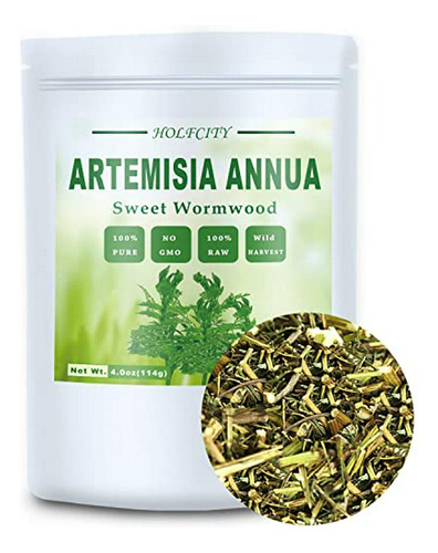 Herbal Tea, Té Herbal - Natural Artemisia Annua, Dried Sweet