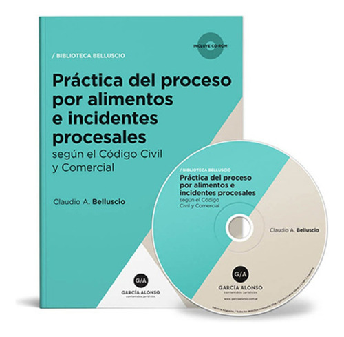 Practica Del Proceso Por Alimentos E Incidentes Procesales 2