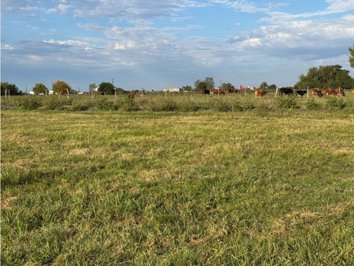 Vendo Terreno De 240 M2 En Caseros, Entre Ríos.