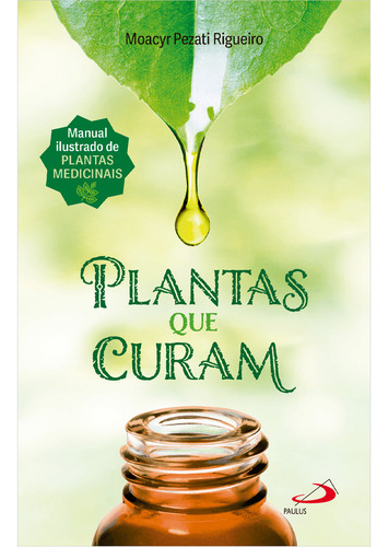 Plantas Que Curam - 2ª Edição: Manual Ilustrado De Plantas Medicinais, De Moacyr Pezati Rigueiro. Saúde, Vol. Único. Editorial Editora Paulus, Capa Mole, Edição 2 Em Português, 2023