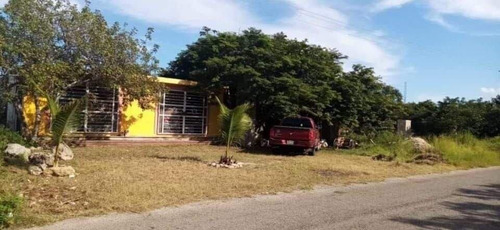 Imagen 8 de 15 de Terreno En Venta En Izamal