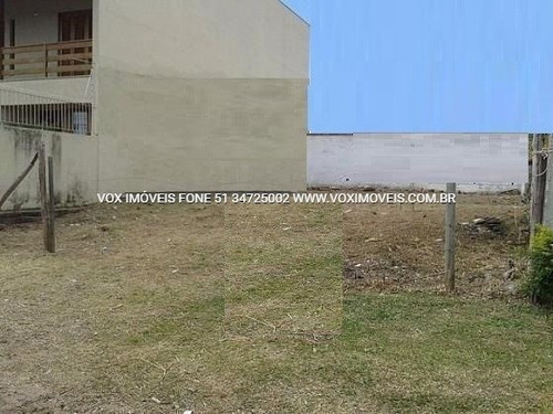 Imagem 11 de 15 de Terreno - Sao Luis - Ref: 45842 - V-45842