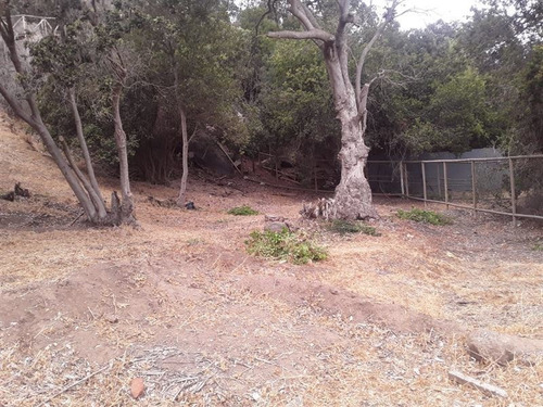 Imagen 8 de 15 de Sitio En Venta En Condominio En Papudo