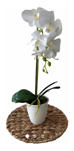 Orquídea Artificial Con Maceta Blanca 50 Cms Vs Colores