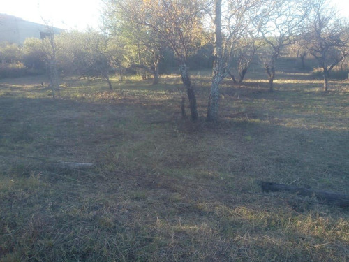Imagen 3 de 8 de Terreno En Venta En Calamuchita Ruta Nacional 36 La Sierrita - Dacal Bienes Raices