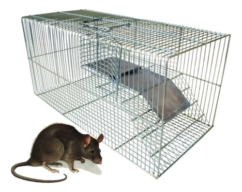 Ratoeira Médio Fundo Falso Capturar Rato Camundongo