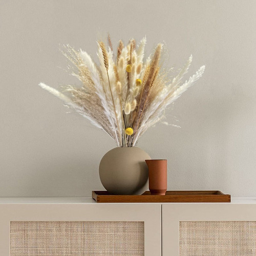 Ramo De Junco De Pampa Marrón Seco Natural Decoración Bohem