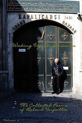 Waking Up In Dreams, De Verfaillie, Roland. Editorial Purple Onion Pr, Tapa Blanda En Inglés