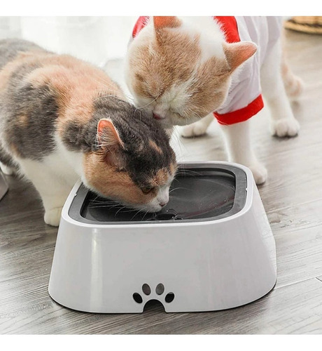 Bebedero De Agua Para Perro Y Gato Fuente Antiderrame Negro