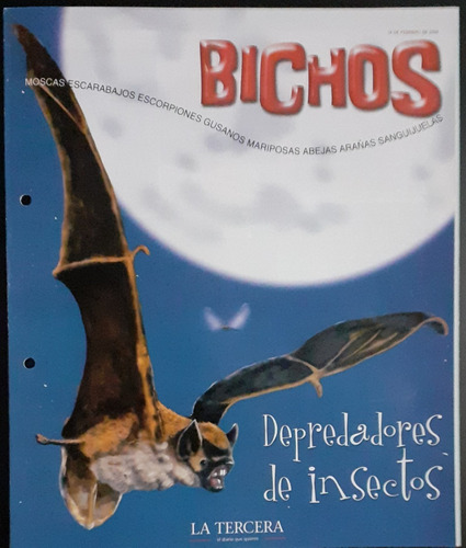 Icarito, Bichos /  Depredadores De Insectos.