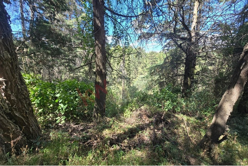 Terreno En Venta, Ideal Para Desarrolladores