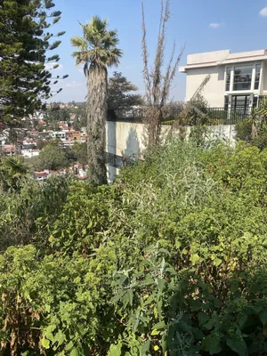 Terreno en venta