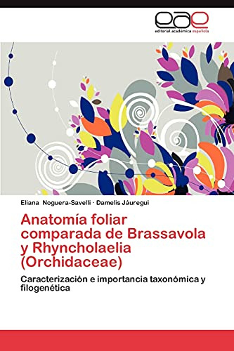 Anatomia Foliar Comparada De Brassavola Y Rhyncholaelia (orc