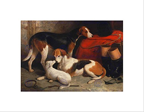 The Art Stop Animals Foxhounds Terrier Caza Perros De Caza B