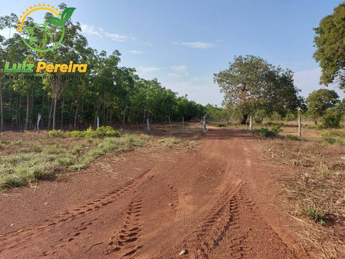 Imagem 3 de 12 de Fazenda À Venda Em Abreulândia - 696,96 Hectares (dupla Aptidão) - 2023