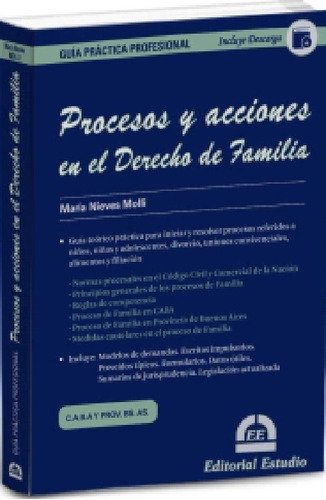 Procesos Y Acciones En El Derecho De Familia Molli