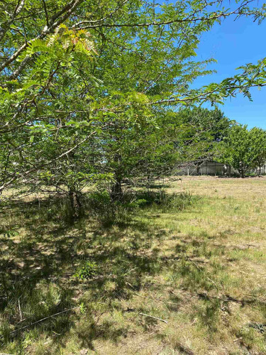 Imagen 9 de 14 de Dueño Vende Hermoso Lote En Villa Elisa, La Plata Calle 409