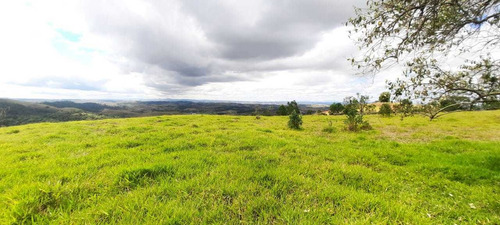 Imagem 6 de 14 de E01- Terra É O Investimento Que So Valoriza Seu Dinheiro