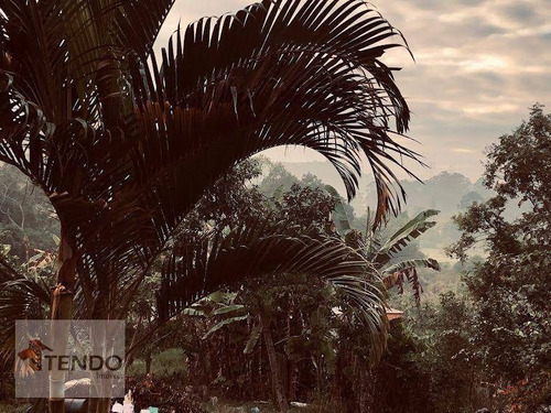 Imagem 19 de 27 de Imob03 - Chácara 2000 M² - Venda - 4 Dormitórios - Meu Sossego - Suzano/sp - Ch0116