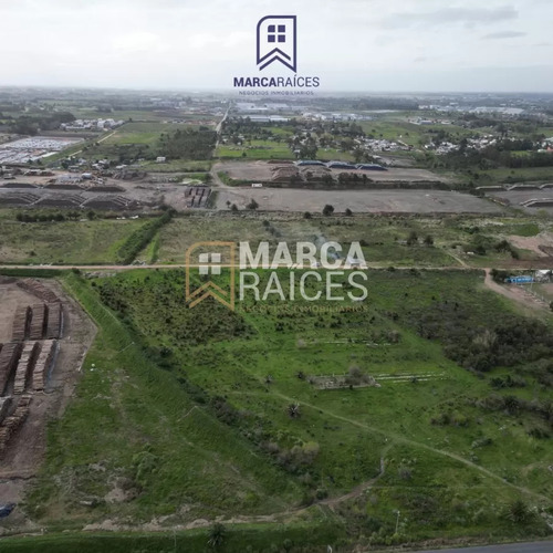 Venta Terrenos Logisticos Punta Sayago Oportunidad De Expandir Empresas Montevideo