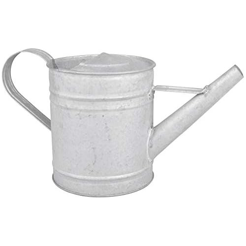 Oz42 Zinc Watering Can, X-small