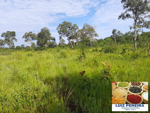 Imagem 8 de 15 de Fazenda À Venda No Vale Do Araguaia / Divinópolis - To - (dupla Aptidão) - 1705