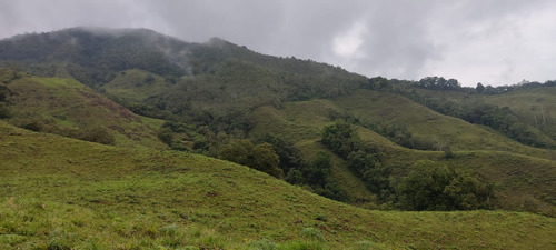 Se Vende Finca En Génova Quindío 