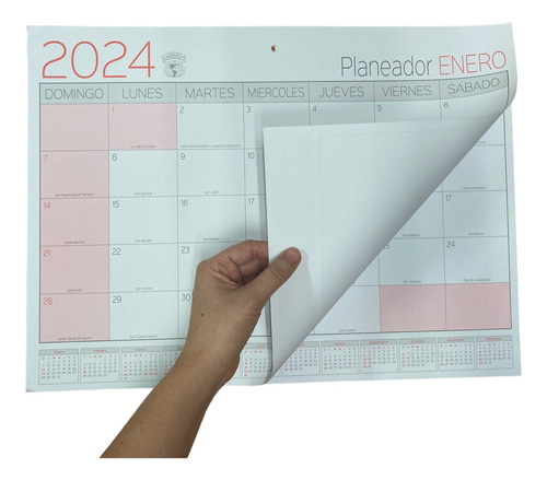 Planeador Calendario 2024 P-513 Medida 34.3cm X 46.5cm