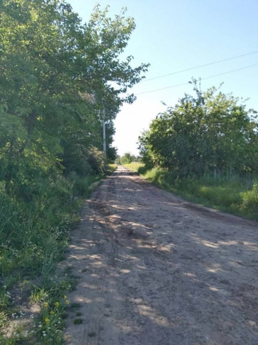 Imagen 8 de 14 de Retasado 6 Hectareas En Venta En Pilar, A 200mts De Ruta 25.