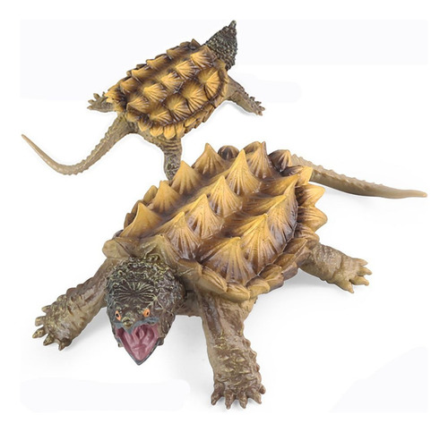 Modelos De Tortuga Caimán Marino Simulación Wildlife-