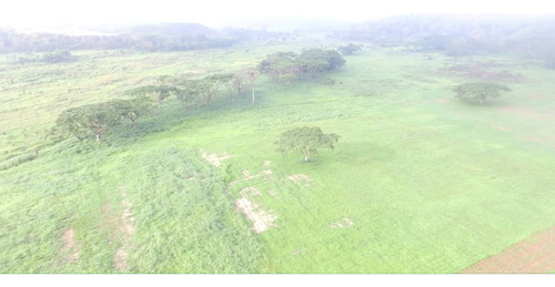 Finca 58h.a , 90% Plana ,con Bienhechurias, Agua, Propiedad Privada En Bejuma, Carabobo. Ag/ Bg