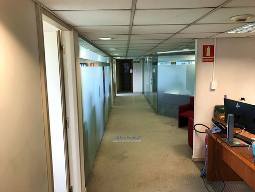 Imagen 3 de 11 de Alquiler De Oficina En El Centro Para Importante Empresa
