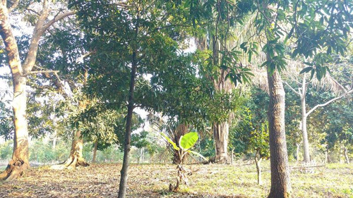 Venta Terreno 5000 M2 Frente Al Estero De Juana Moza Tuxpan Veracruz