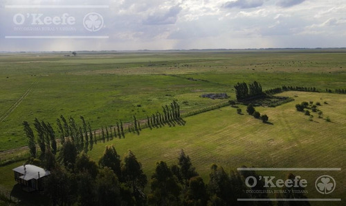 Imagen 2 de 18 de Campo 444 Has Ganadero Con 20% Aptitud Agrícola - A 3 Km De Ruta - General Lamadrid