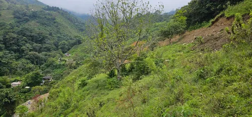 Venta De Lote En Santa Bárbara Vereda Pitayó Lote No. 2a