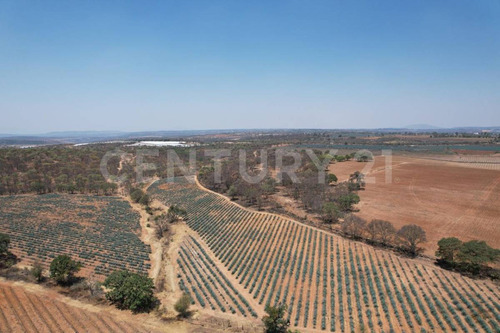 En Venta!!! Terreno Ubicado En Josefino De Allende, Jalisco.