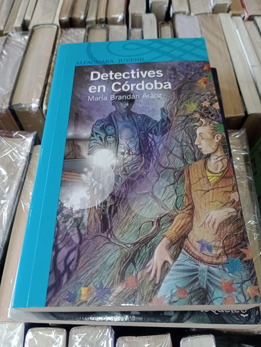 Detectives En Cordoba - Maria Brandan Araoz - Alfaguara
