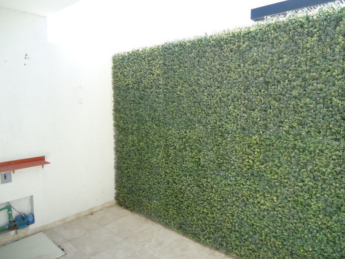 Imagen 6 de 17 de Renta Casa 3 Recamaras Estudio El Mirador