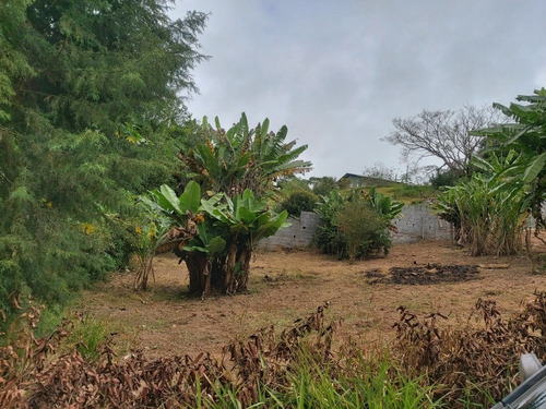Imagem 15 de 16 de Chácara Ibiuna 1.000 Mts Casa Falt. Acabamento E Pomar Prod