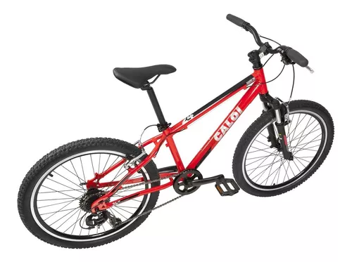 Mountain Bike Aro 24