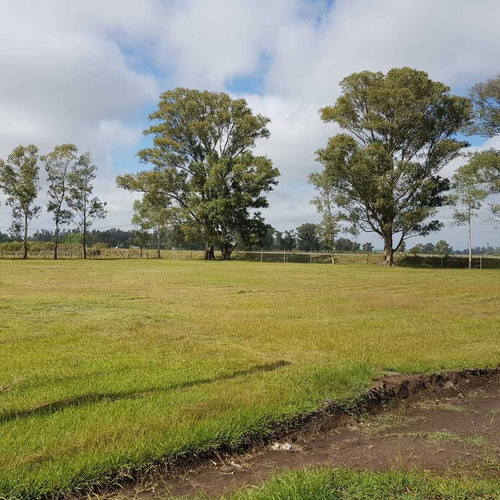Terreno En La Capilla- Lote 430 M2. Anticipo Y Cuotas
