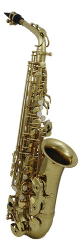 Roy Benson As-202 Saxofón Alto Tono Eb Mi Bemol Con Estuche