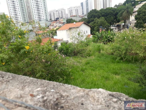 Imagem 11 de 15 de Terreno À Venda, 788 M² - Vila Moreira - Guarulhos/sp - Ai12044
