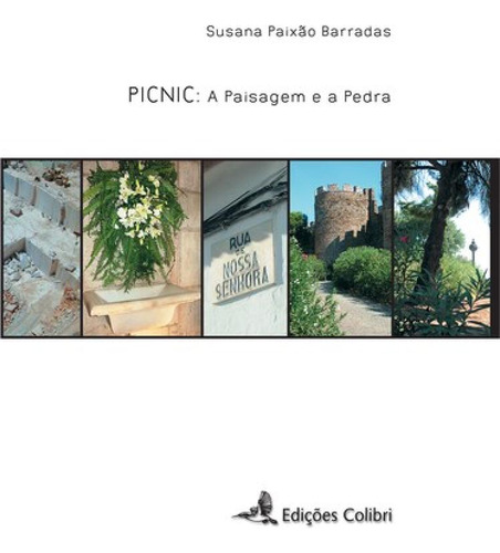 Picnic: A Paisagem E A Pedra Paixão Barradas, Susana Ediço