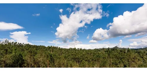 Venta De Lote Vía Don Diego La Ceja