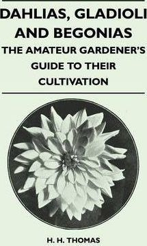 Dahlias, Gladioli And Begonias - The Amateur Gardener's G...