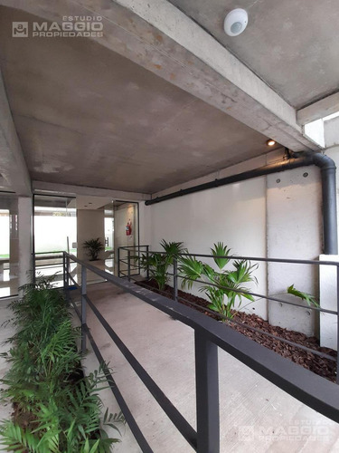 Imagen 6 de 30 de Venta Departemneto 2 Ambientes Haedo Sur